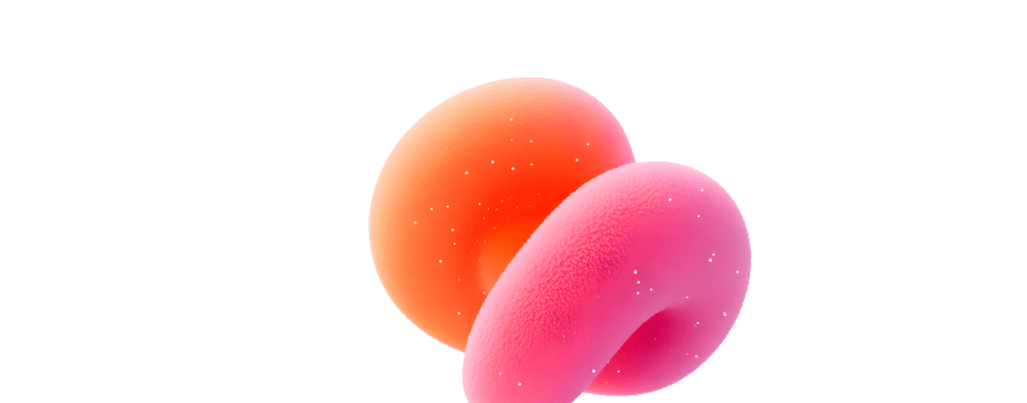 디자이너 올인원캠프